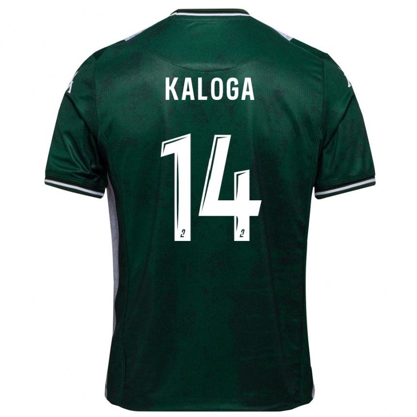 גברים כדורגל Amallah Kaloga #14 ירוק לבן ג'רזי ביתית 2025/26