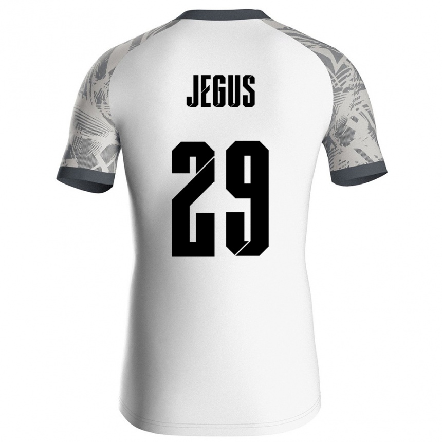 ילדים כדורגל Leonard Jegus #29 אפור לבן חולצת שוער 2025/26