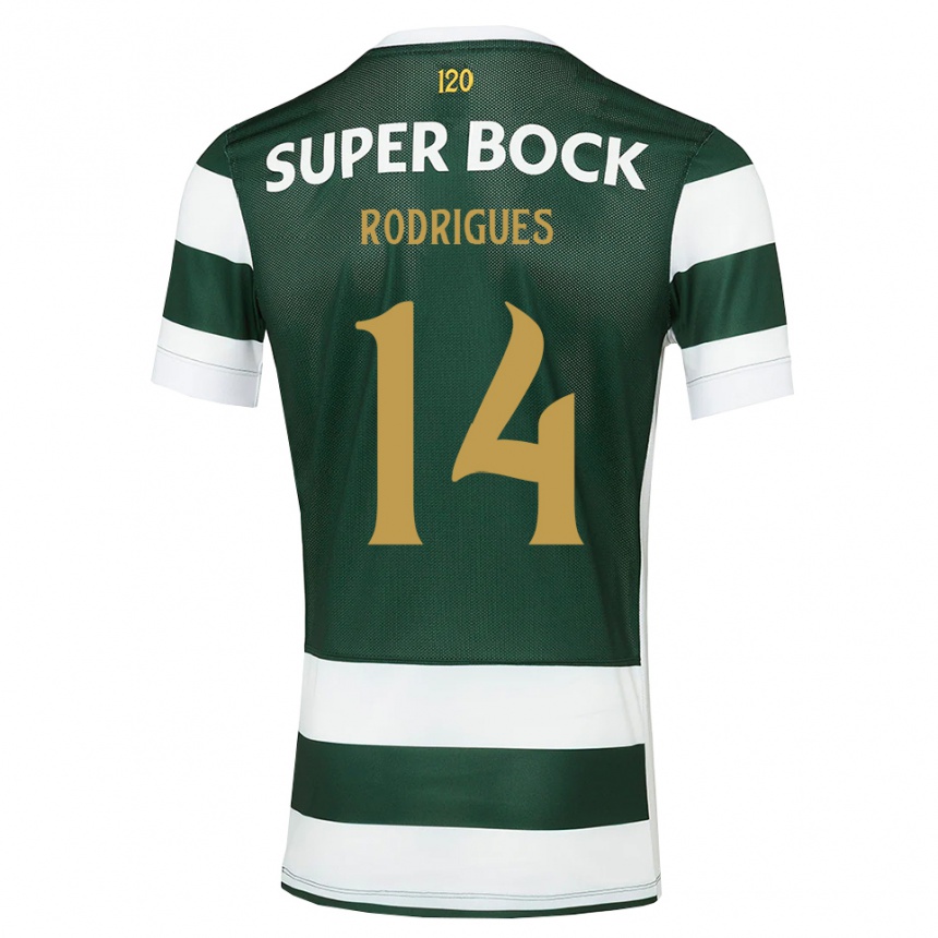 נשים כדורגל Paulo Rodrigues #14 אפור כהה לבן ג'רזי ביתית 2026/27