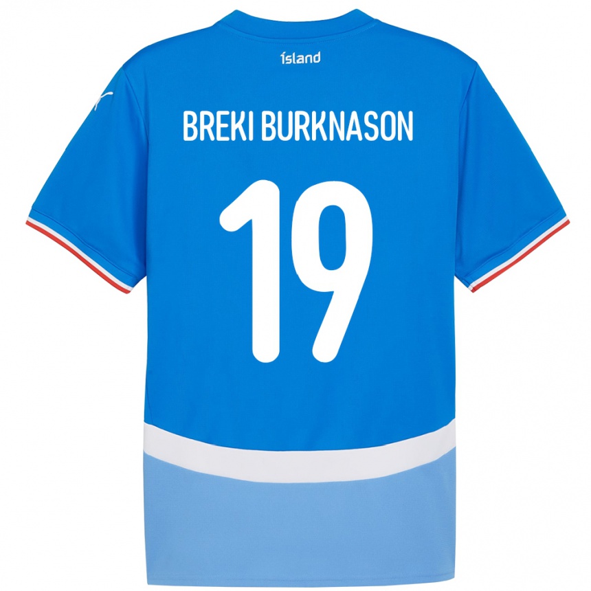 ילדים כדורגל אִיסלַנד Birnir Breki Burknason #19 כְּחוֹל ג'רזי ביתית 24-26