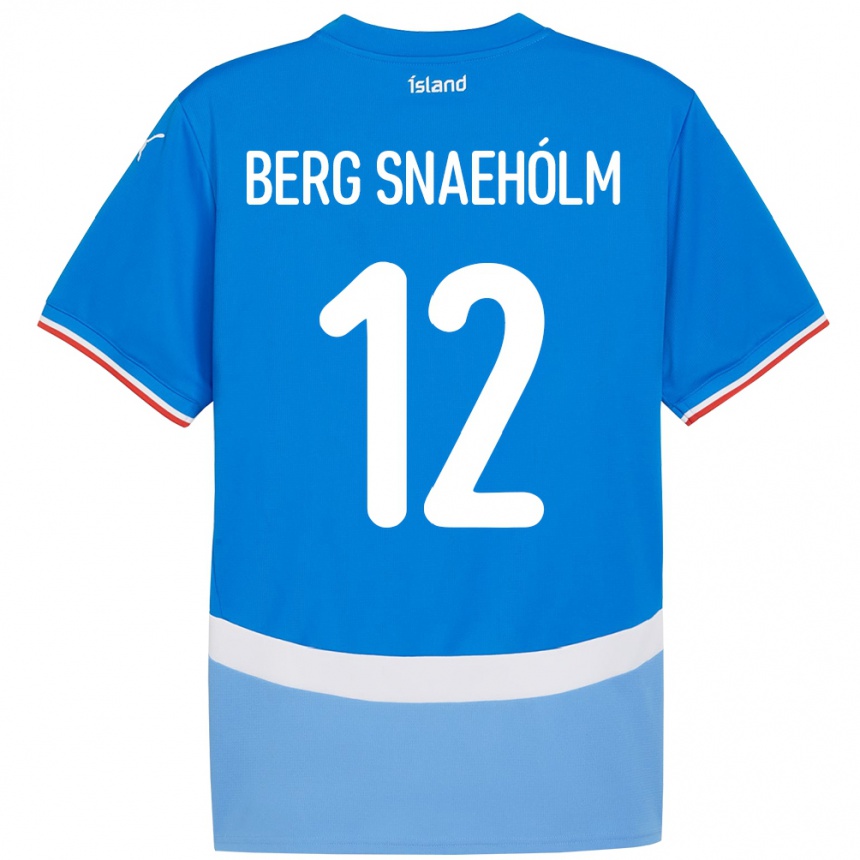 גברים כדורגל אִיסלַנד Gylfi Berg Snaehólm #12 כְּחוֹל ג'רזי ביתית 24-26