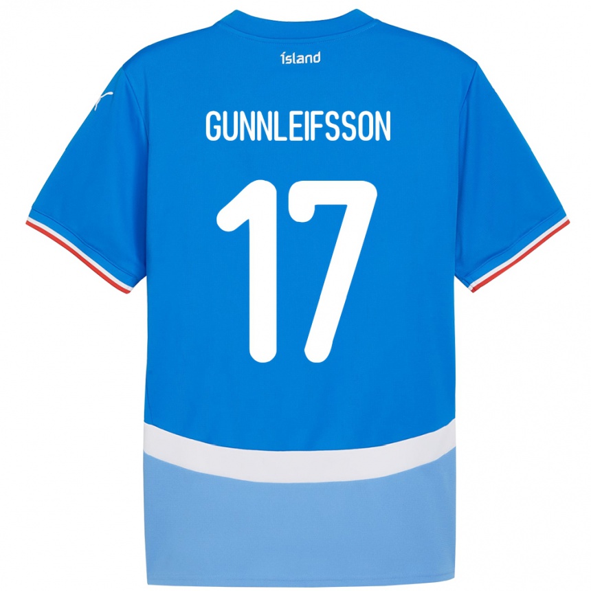 גברים כדורגל אִיסלַנד Gunnleifur Orri Gunnleifsson #17 כְּחוֹל ג'רזי ביתית 24-26