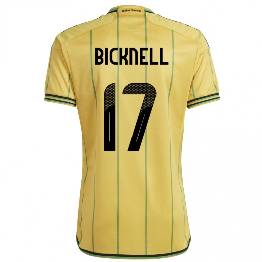 גברים כדורגל ג'מייקה Alexander Bicknell #17 צהוב ג'רזי ביתית 24-26