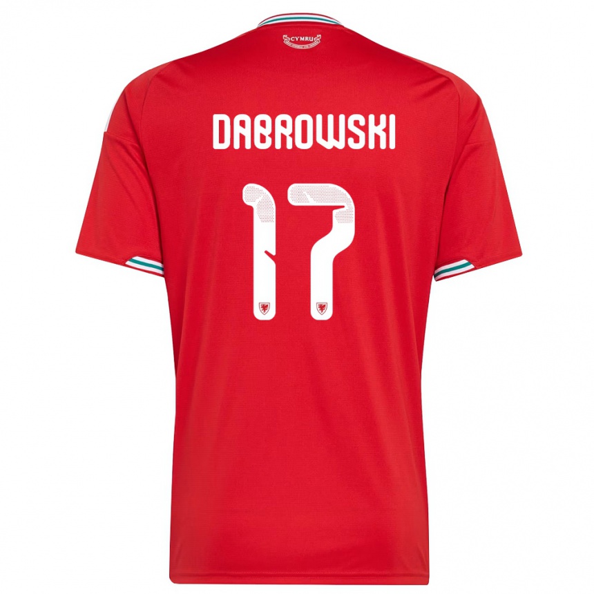 ילדים כדורגל ויילס Damian Dabrowski #17 אדום לבן ירוק ג'רזי ביתית 26-28