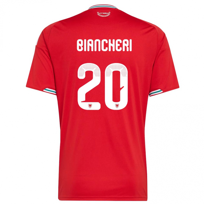ילדים כדורגל ויילס גבריאל ביאנשרי #20 אדום לבן ירוק ג'רזי ביתית 26-28