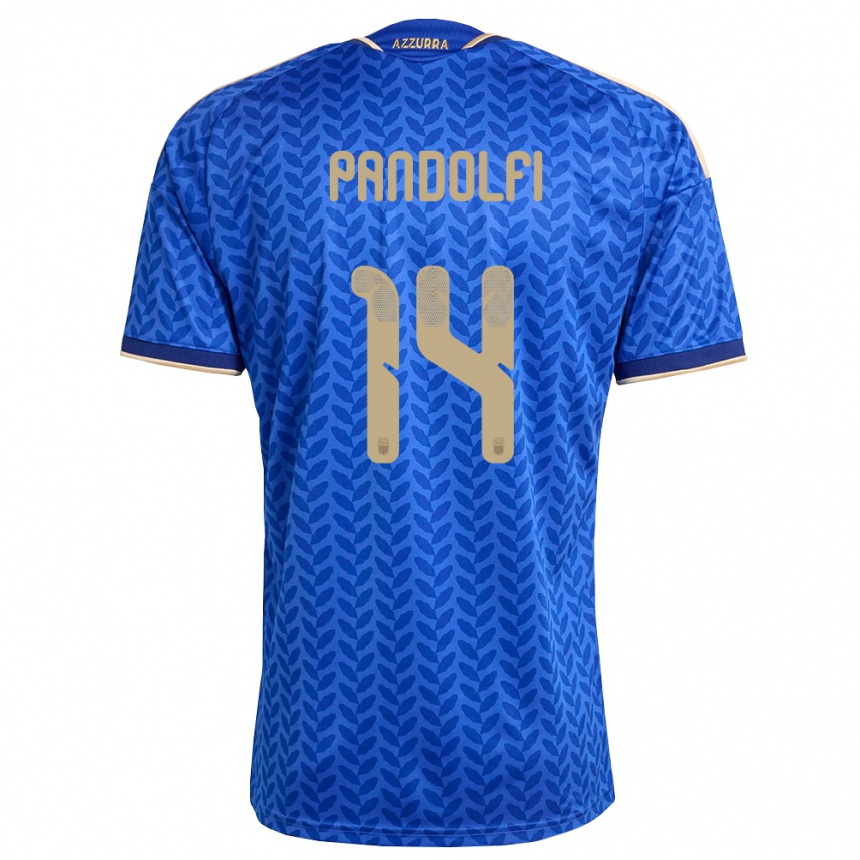 ילדים כדורגל איטליה Fabio Pandolfi #14 כחול כהה זהב ג'רזי ביתית 26-28