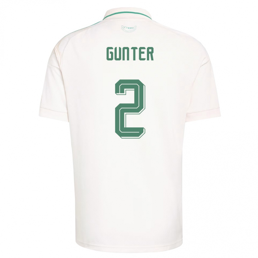 גברים כדורגל ויילס כריס גאנטר #2 לבן חום ירוק הרחק ג'רזי 26-28