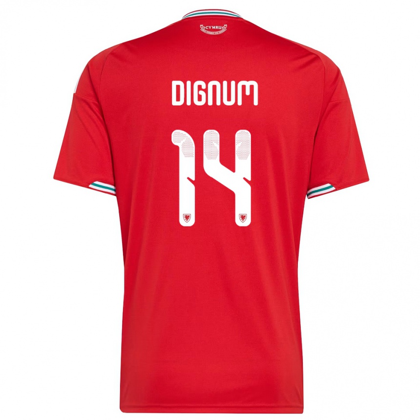נשים כדורגל ויילס Alfie Dignum #14 אדום לבן ירוק ג'רזי ביתית 26-28