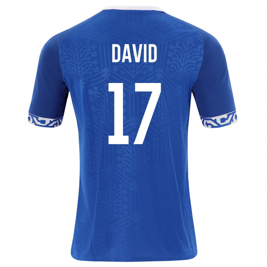 גברים כדורגל מולדובה Ovidiu David #17 כחול מלכותי לבן ג'רזי ביתית 26-28