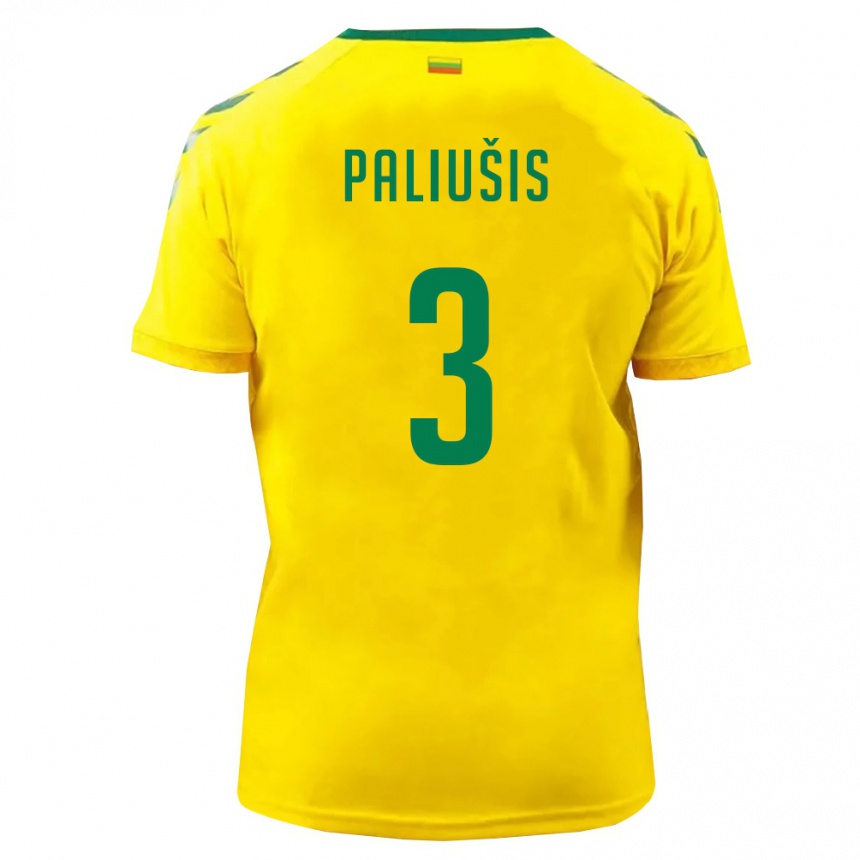 גברים כדורגל ליטא Naglis Paliušis #3 צהוב ירוק ג'רזי ביתית 26-28