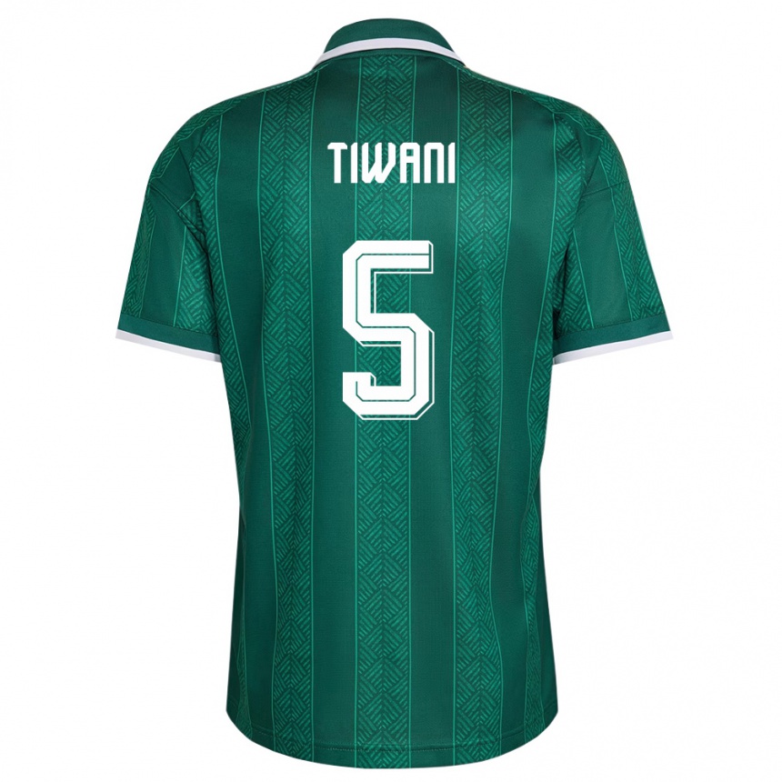 גברים כדורגל דרום אפריקה Asekho Tiwani #5 ירוק לבן זהב הרחק ג'רזי 26-28