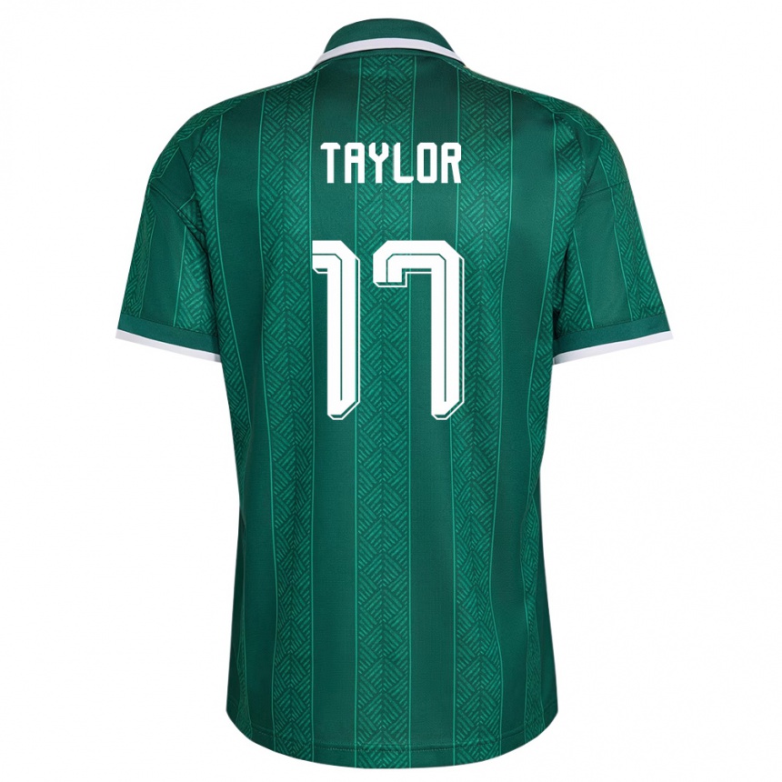 נשים כדורגל דרום אפריקה Joshua Taylor #17 ירוק לבן זהב הרחק ג'רזי 26-28