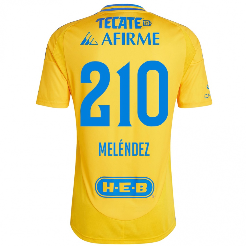 נשים כדורגל Marcelo Meléndez #210 זהב צהוב ג'רזי ביתית 2024/25