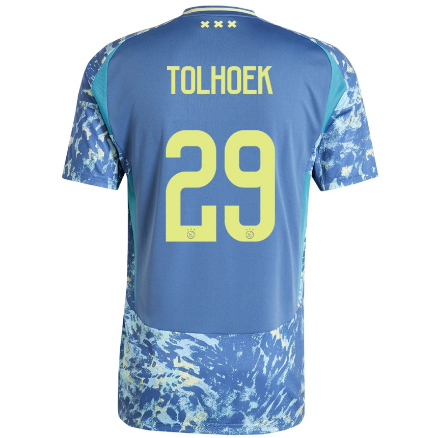 גברים כדורגל Danique Tolhoek #29 אפור כחול צהוב הרחק ג'רזי 2024/25